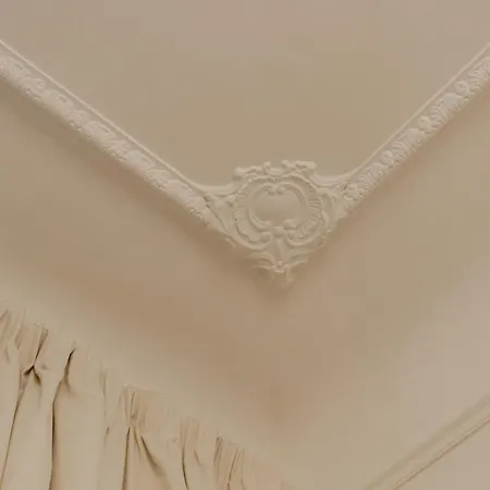 Elegant In Center